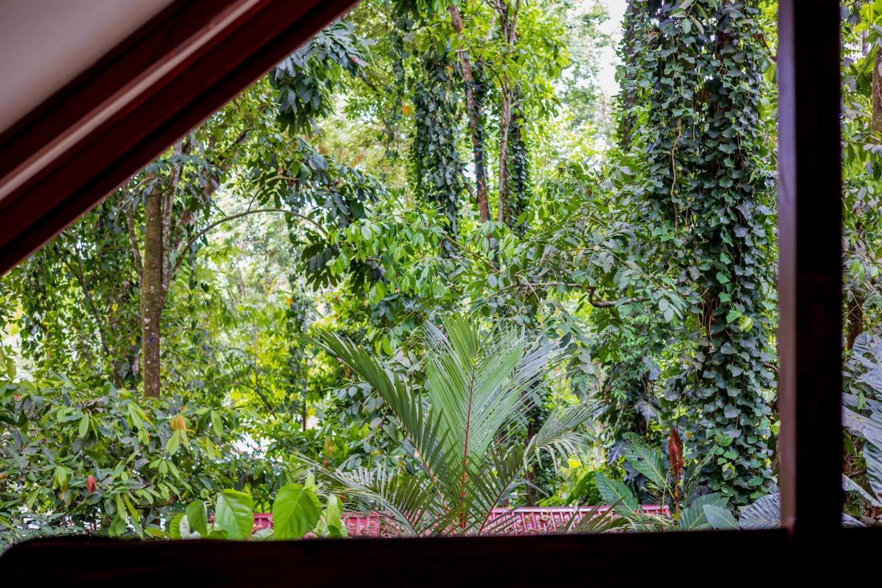 Namuwoki Lodge Puerto Viejo de Talamanca Экстерьер фото